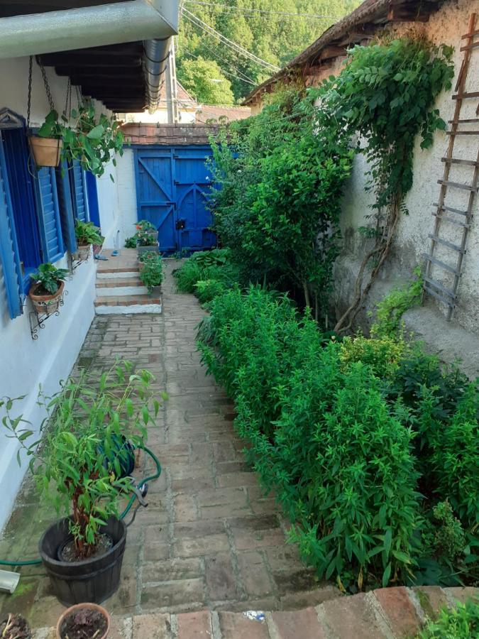 Casa Anca Cheile Nerei Villa Socolari ภายนอก รูปภาพ