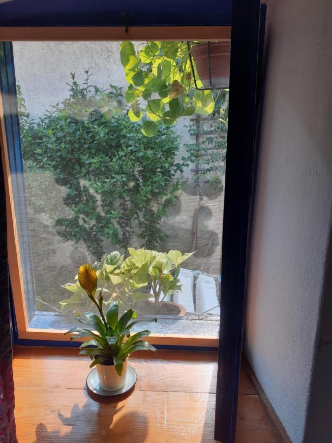 Casa Anca Cheile Nerei Villa Socolari ภายนอก รูปภาพ