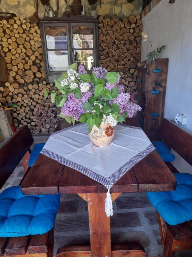 Casa Anca Cheile Nerei Villa Socolari ภายนอก รูปภาพ