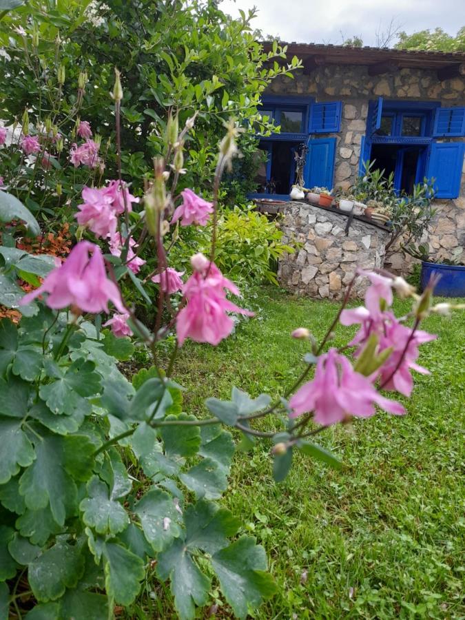 Casa Anca Cheile Nerei Villa Socolari ภายนอก รูปภาพ