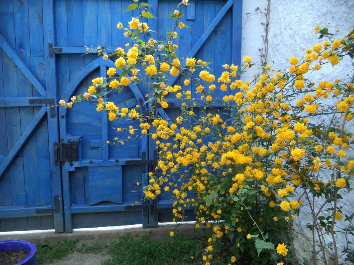 Casa Anca Cheile Nerei Villa Socolari ภายนอก รูปภาพ