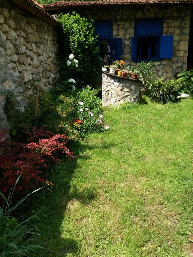 Casa Anca Cheile Nerei Villa Socolari ภายนอก รูปภาพ