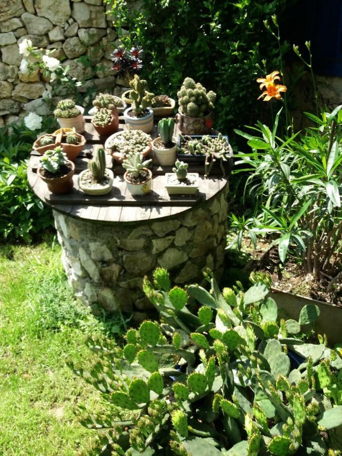Casa Anca Cheile Nerei Villa Socolari ภายนอก รูปภาพ